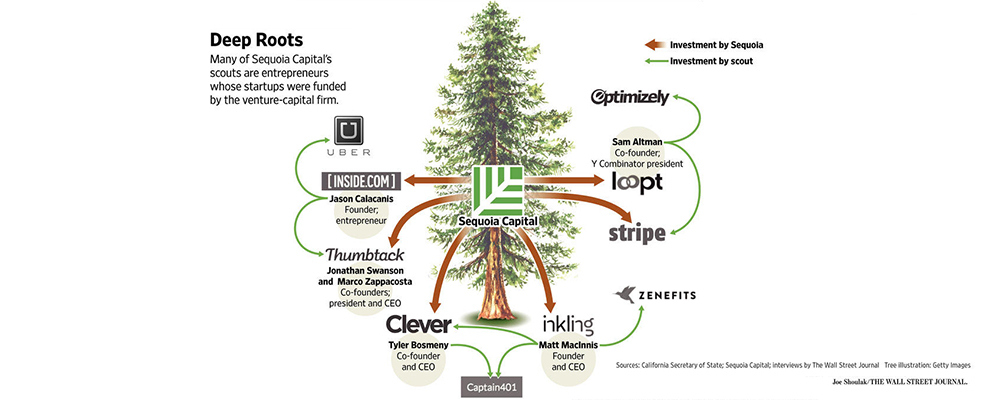 红杉印度的野望 红杉印度的野望