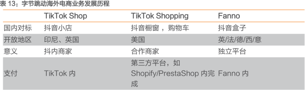 中国公司全球化系列报告：字节跳动专题之TikTok