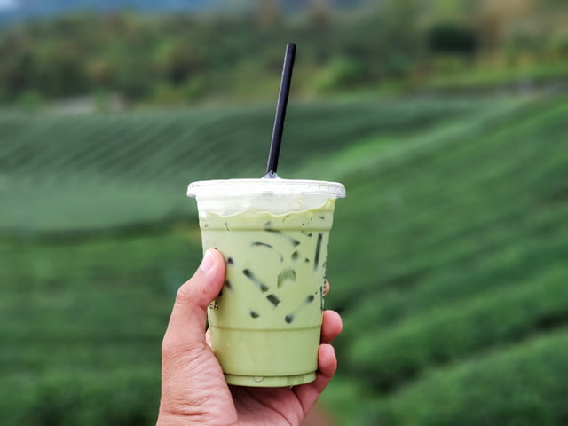 日销3万杯,新茶饮出海为今年最大增量? 日销3万杯,新茶饮出海为今年最大增量?